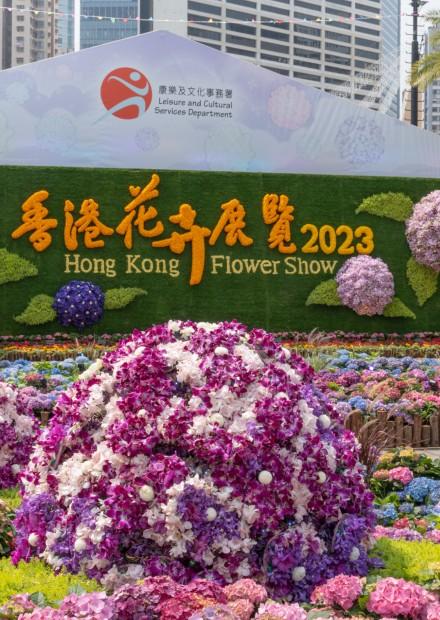 花卉展覽36周年 繡球花遍展場 土壤酸鹼度可改變花色 花語團聚切合疫後香港  