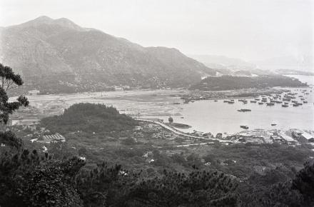 細說屯門歷史