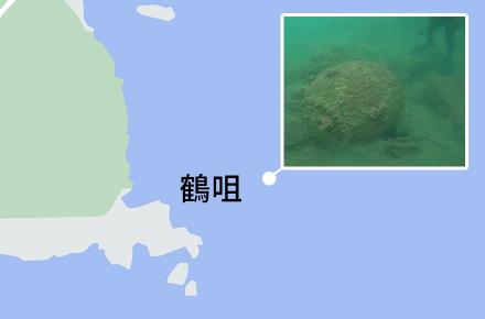 鶴咀海底現二戰英製水雷需水中引爆